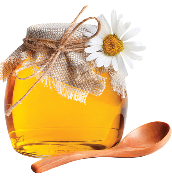 Login to your account